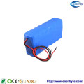 LiFePO4 Battery Pack 60V 40ah for E-Motor/ Scooter